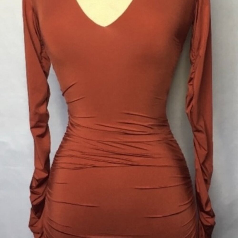 Urban Outfitters Burnt Orange Long Sleeve Bodycon Tiger Mist